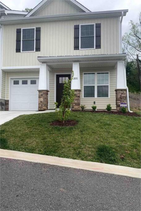 Newly Built Townhome Close To The Asheville Sites Candler Exteriör bild