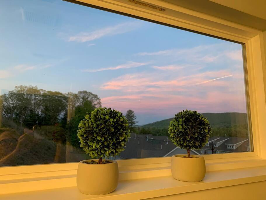 Newly Built Townhome Close To The Asheville Sites Candler Exteriör bild